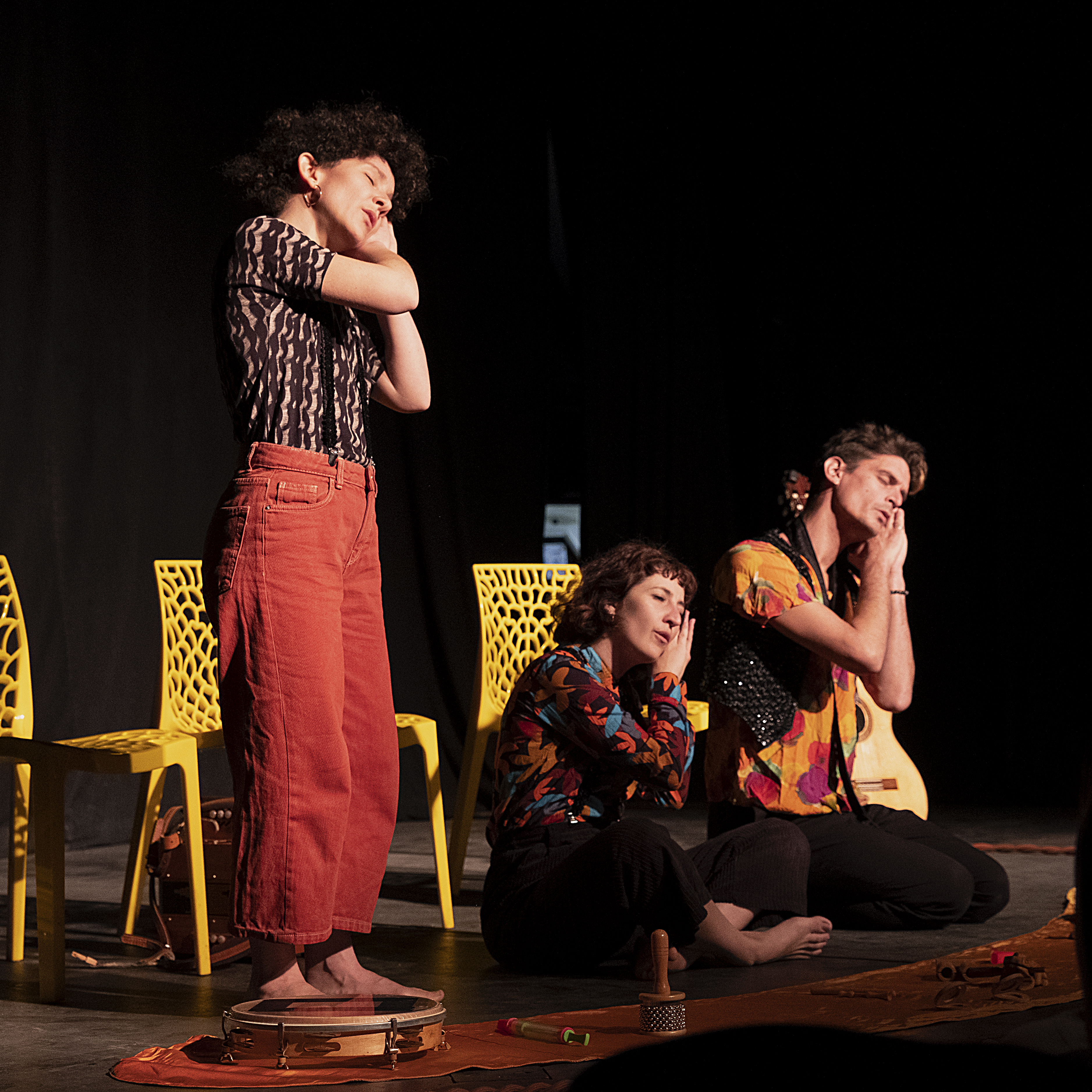 CALICO ET LES OISEAUX